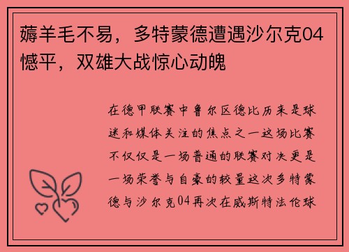 薅羊毛不易，多特蒙德遭遇沙尔克04憾平，双雄大战惊心动魄